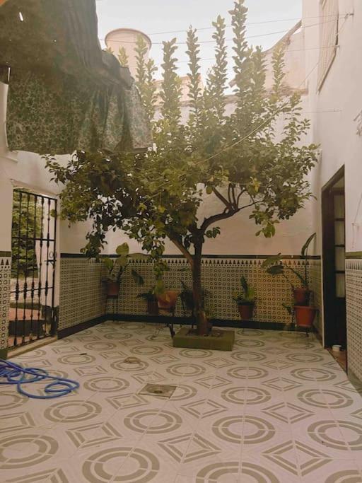 Villa La Casa De Manolita à Baena Extérieur photo